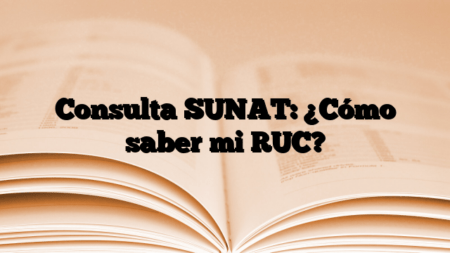 Consulta SUNAT: ¿Cómo saber mi RUC?
